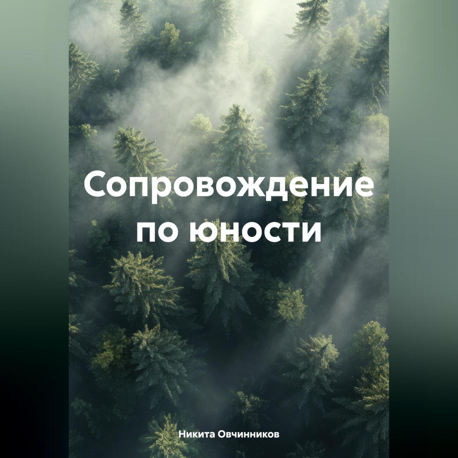 Обложка книги «Сопровождение по юности»