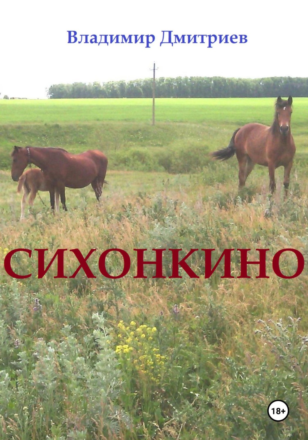 Обложка книги «Сихонкино»