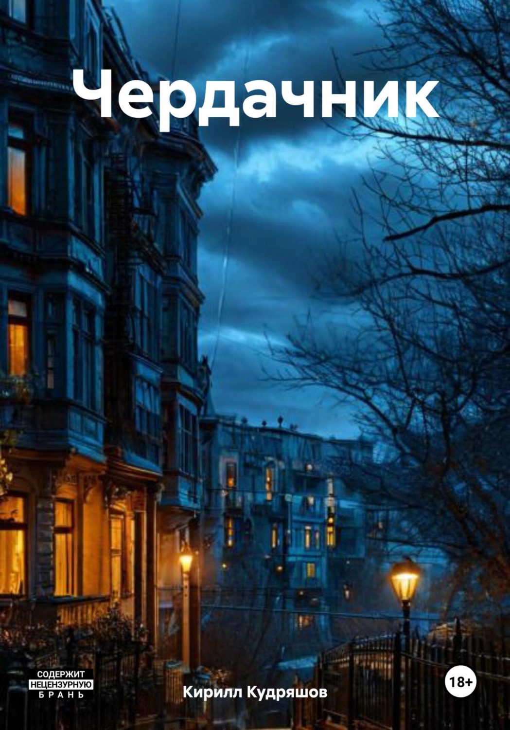 Обложка книги «Чердачник»