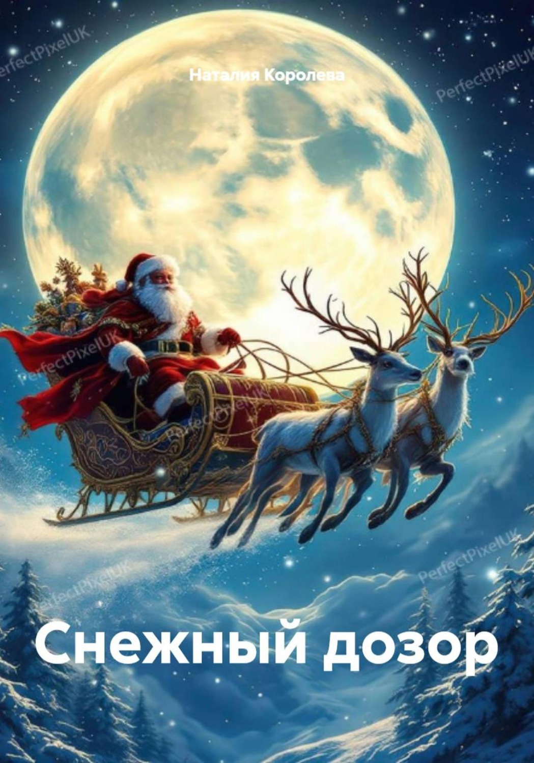 Обложка книги «Снежный дозор»