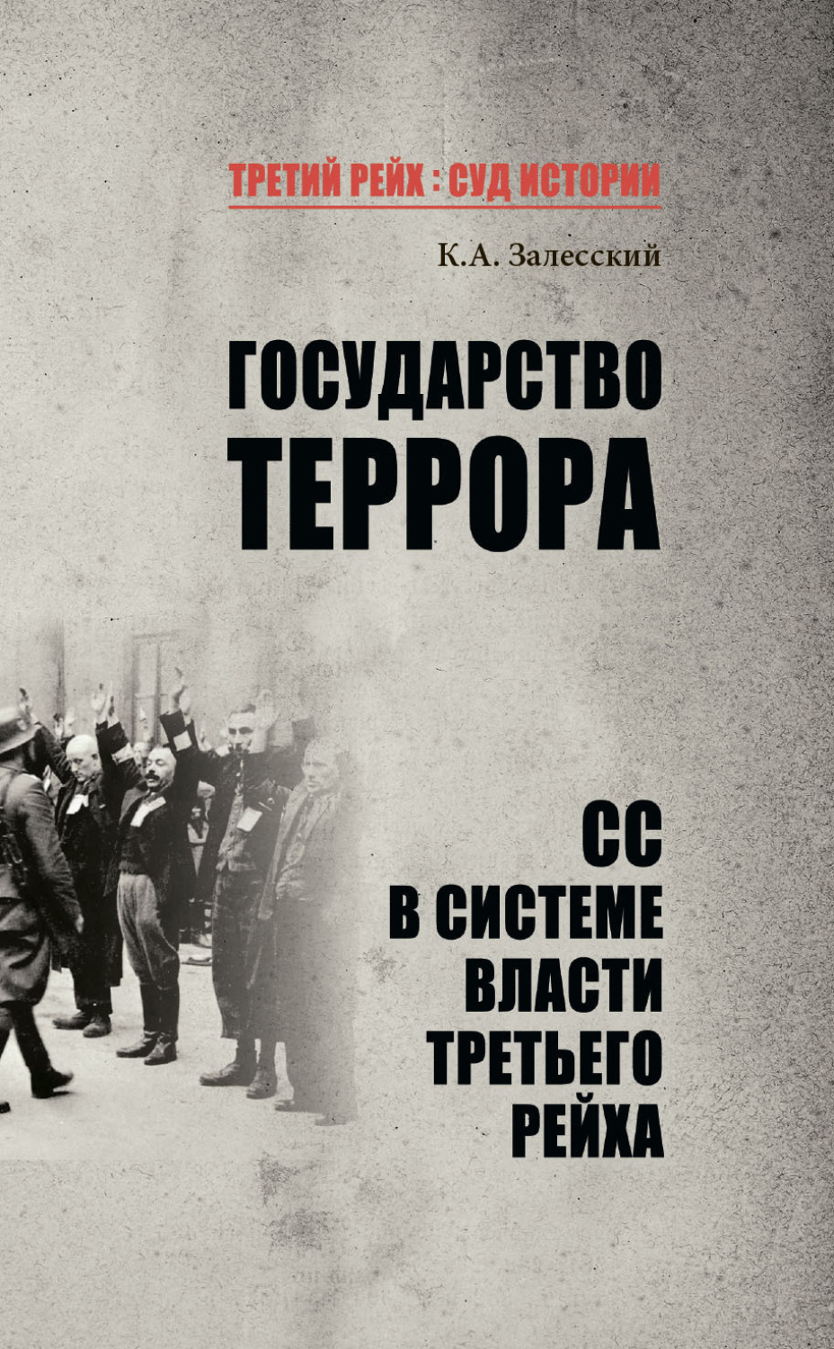Обложка книги «Государство террора. СС в системе власти Третьего рейха»