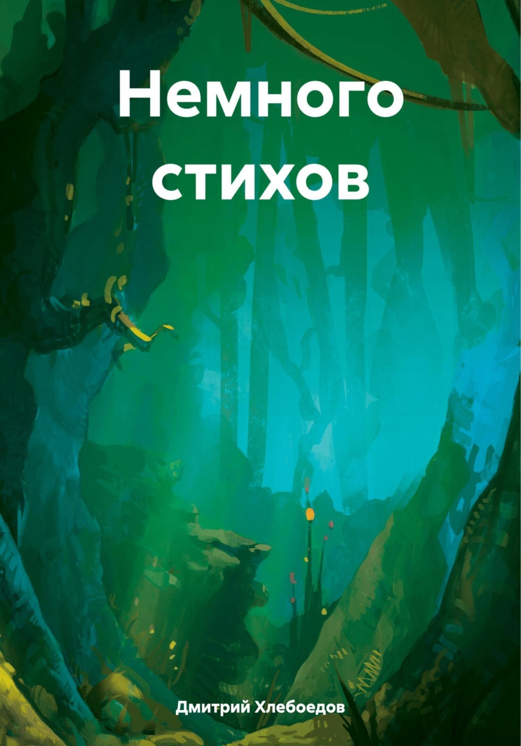 Обложка книги «Немного стихов»