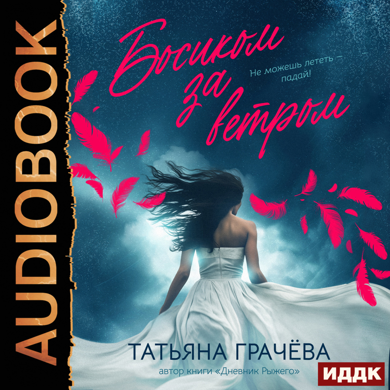 Обложка книги «Босиком за ветром. Книга 2»