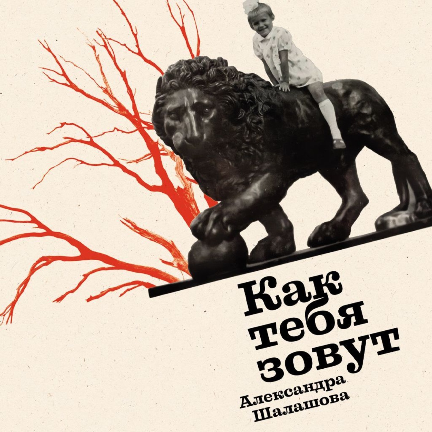 Обложка книги «Как тебя зовут»