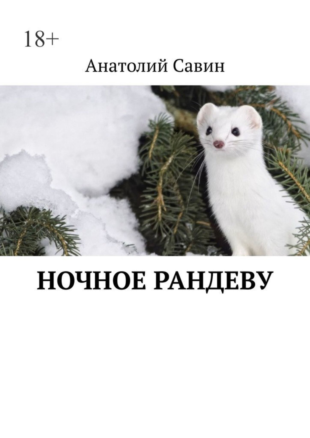 Обложка книги «Ночное рандеву»