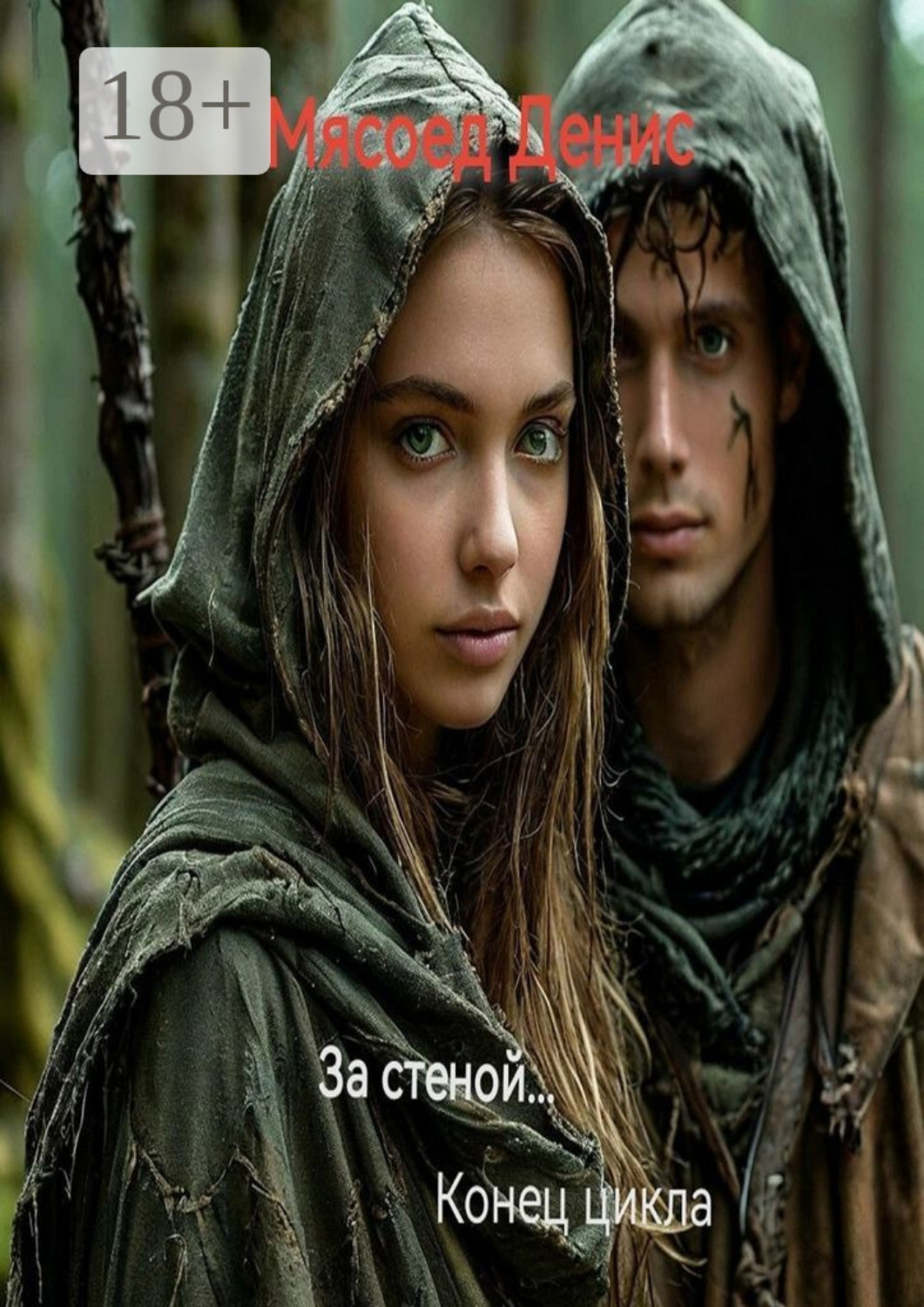 Обложка книги «За стеной… Конец цикла»