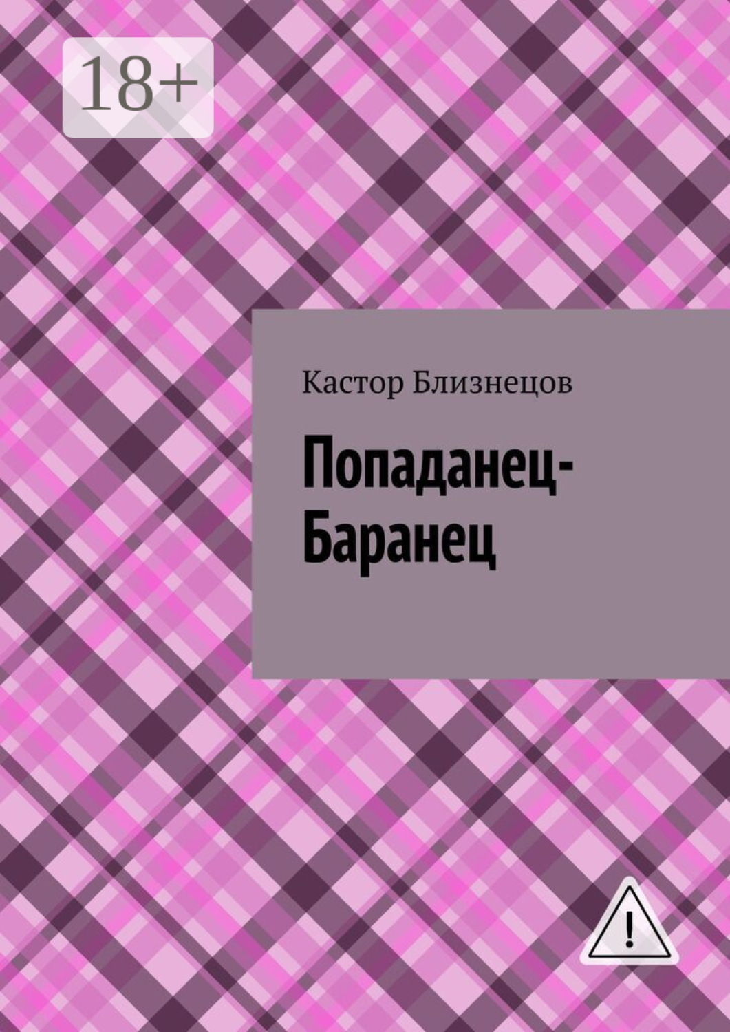 Обложка книги «Попаданец-Баранец»