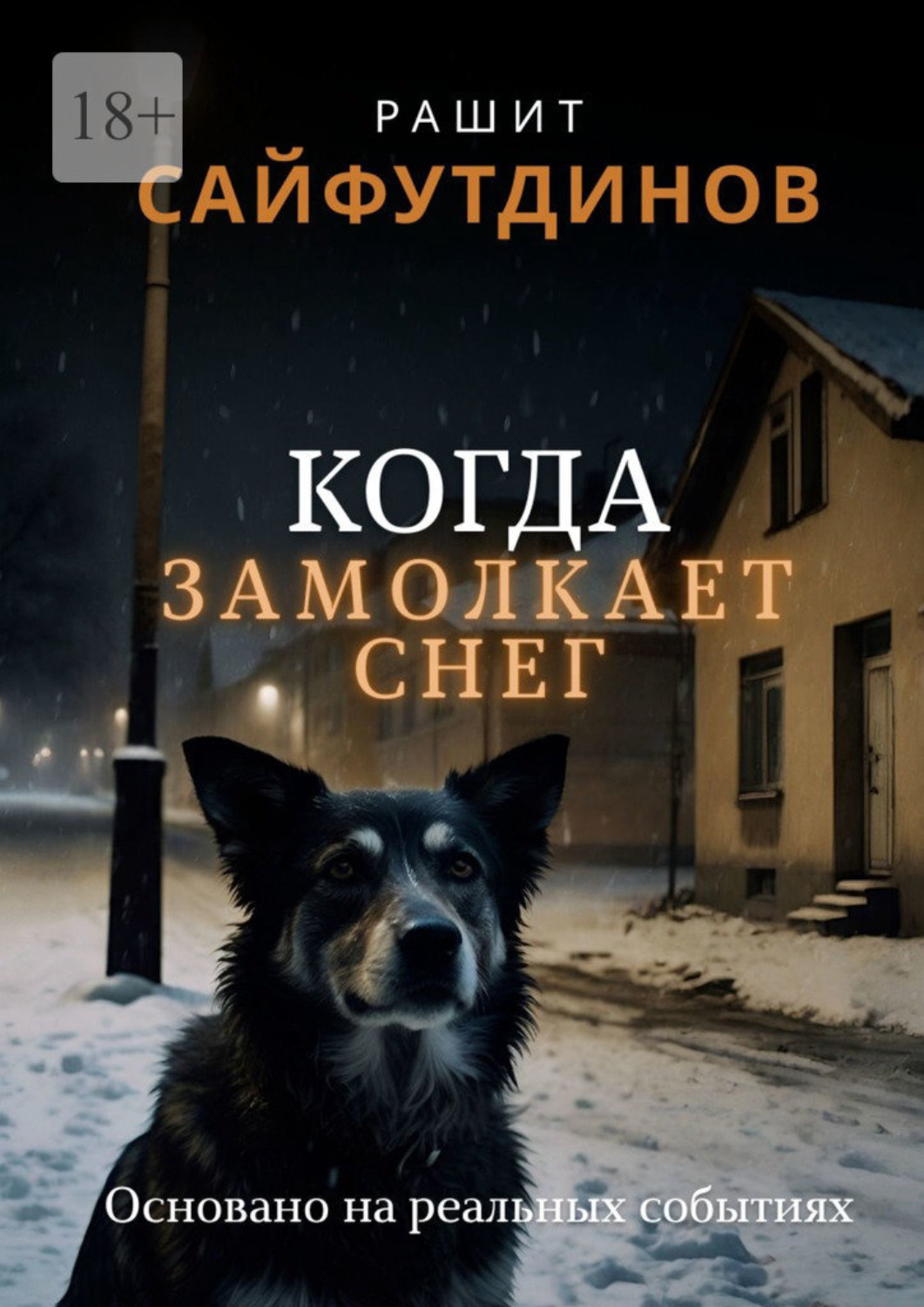 Обложка книги «Когда замолкает снег»