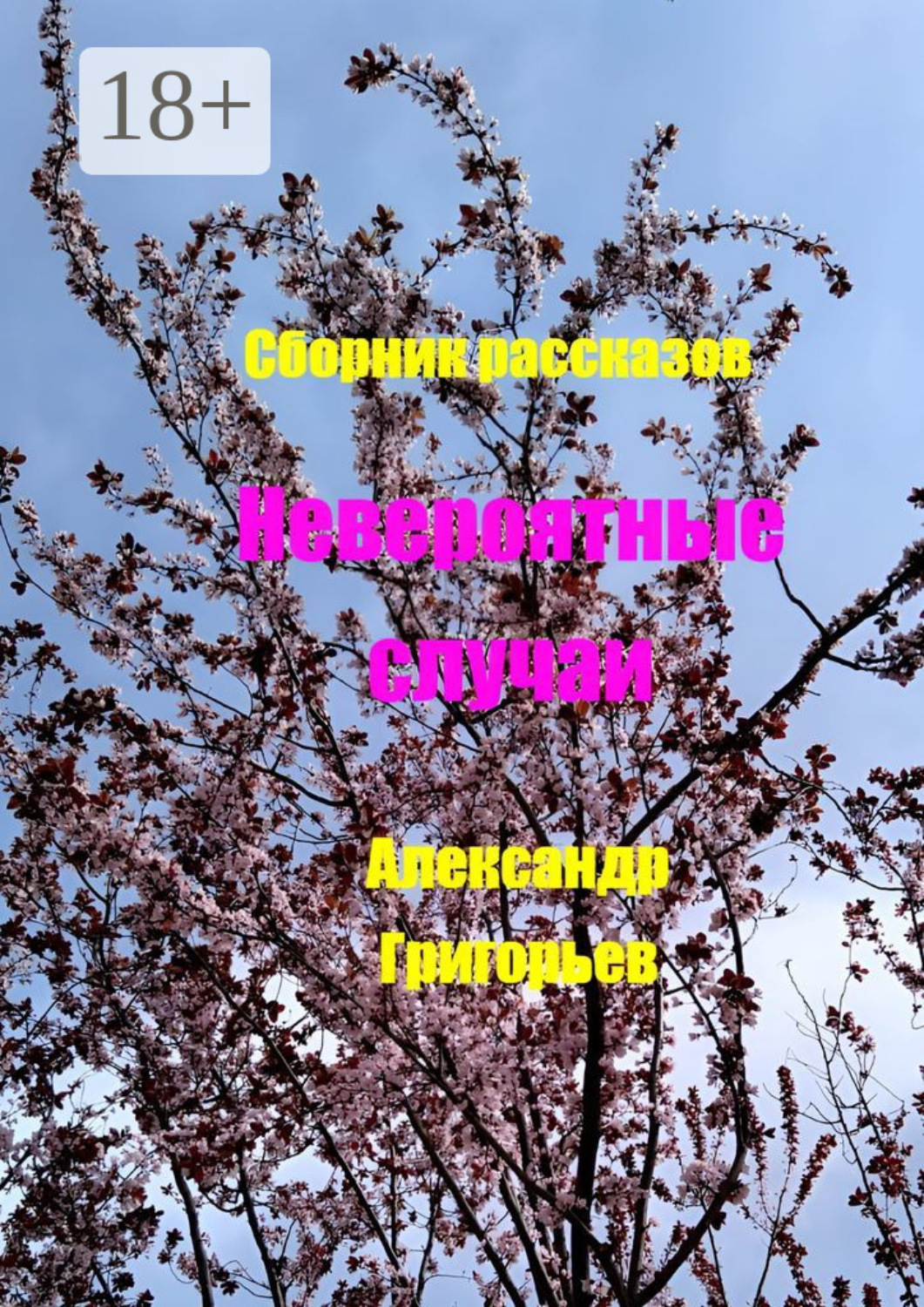 Обложка книги «Невероятные случаи. Сборник рассказов»