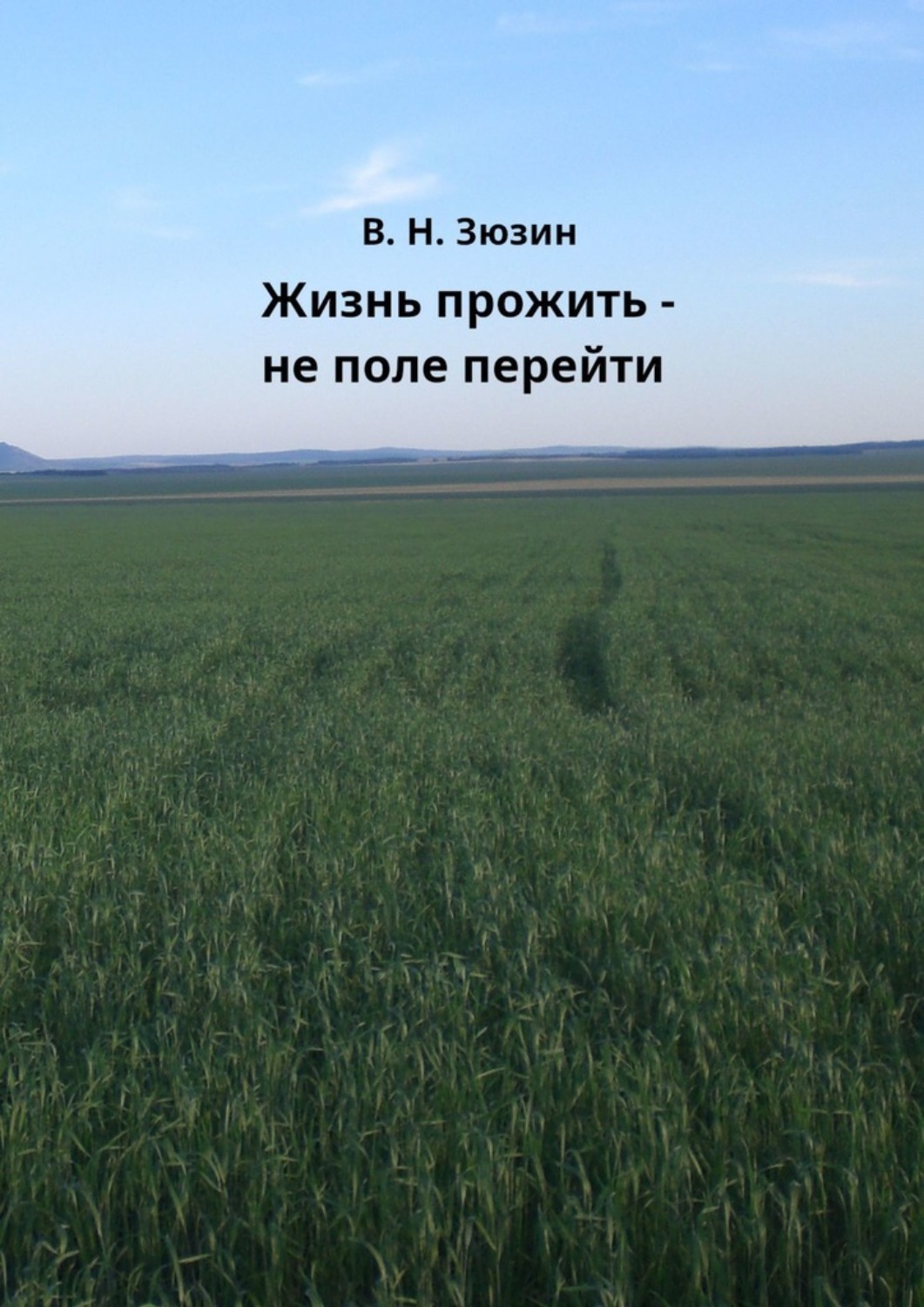 Обложка книги «Жизнь прожить – не поле перейти»