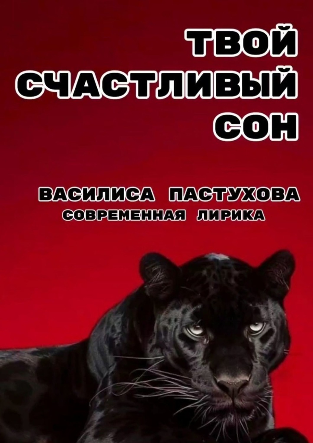 Обложка книги «Твой счастливый сон. Современная лирика»