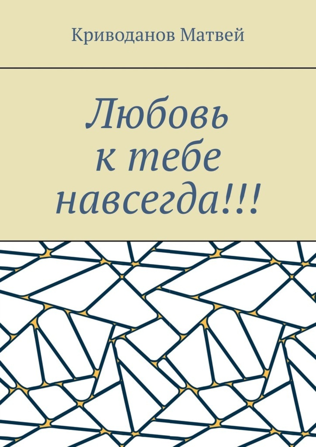 Обложка книги «Любовь к тебе навсегда!!!»