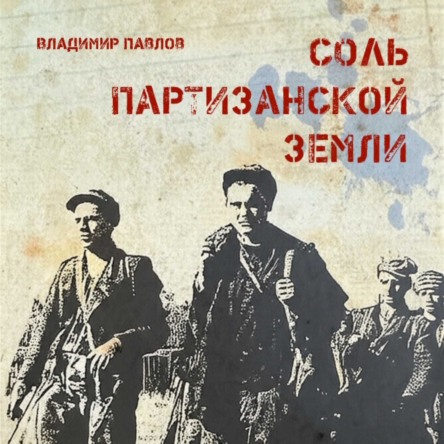 Обложка книги «Соль партизанской земли»