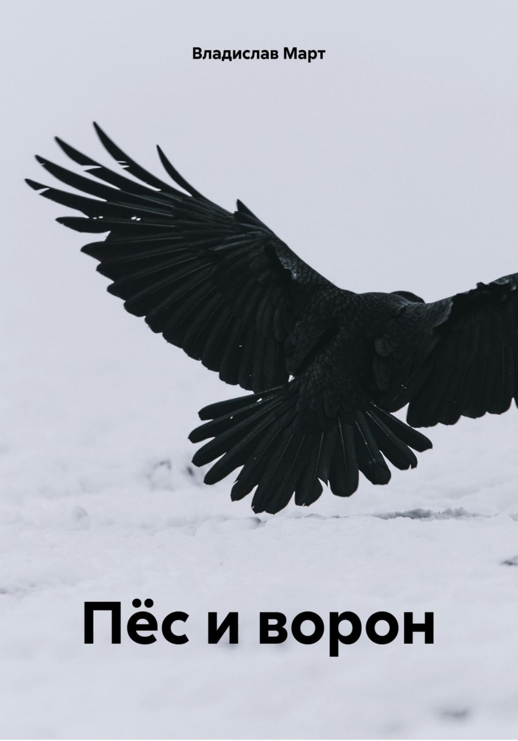 Обложка книги «Пёс и ворон»
