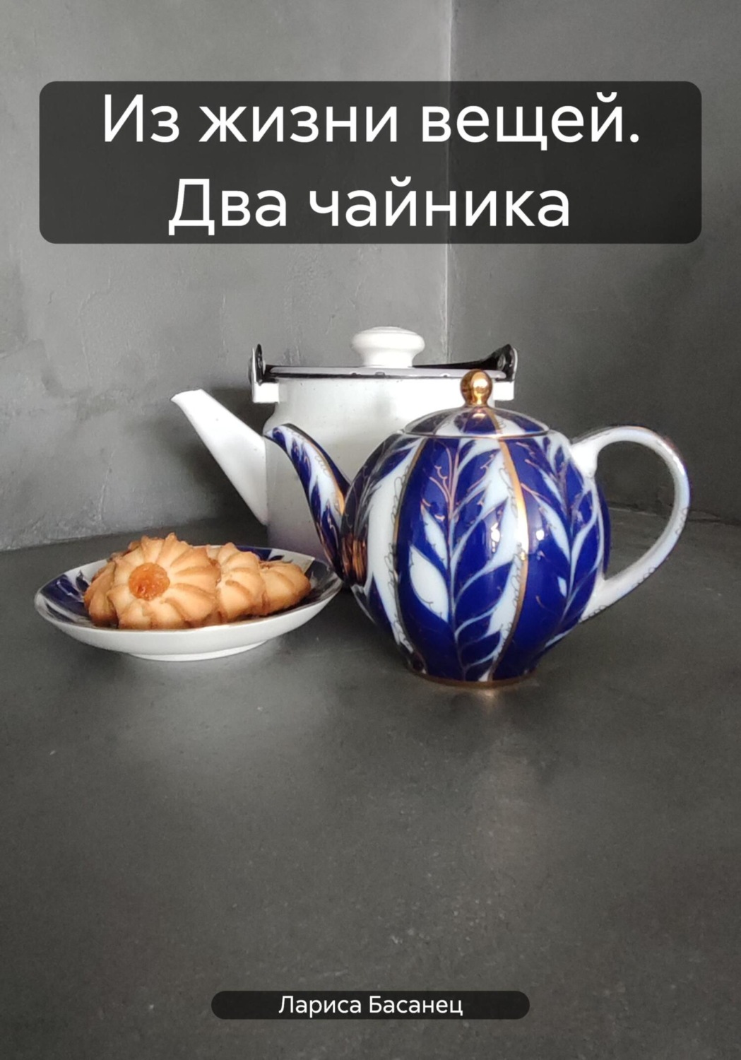 Обложка книги «Из жизни вещей. Два чайника»