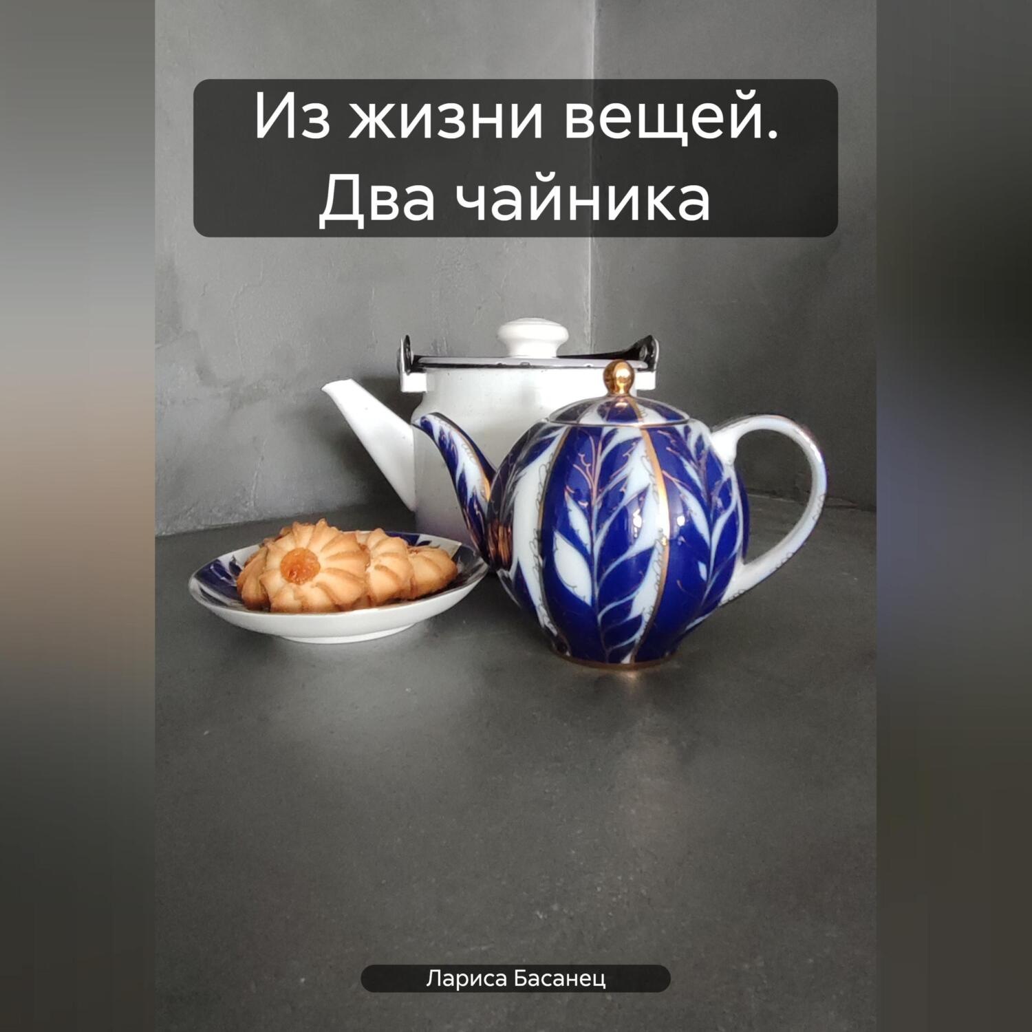 Обложка книги «Из жизни вещей. Два чайника»