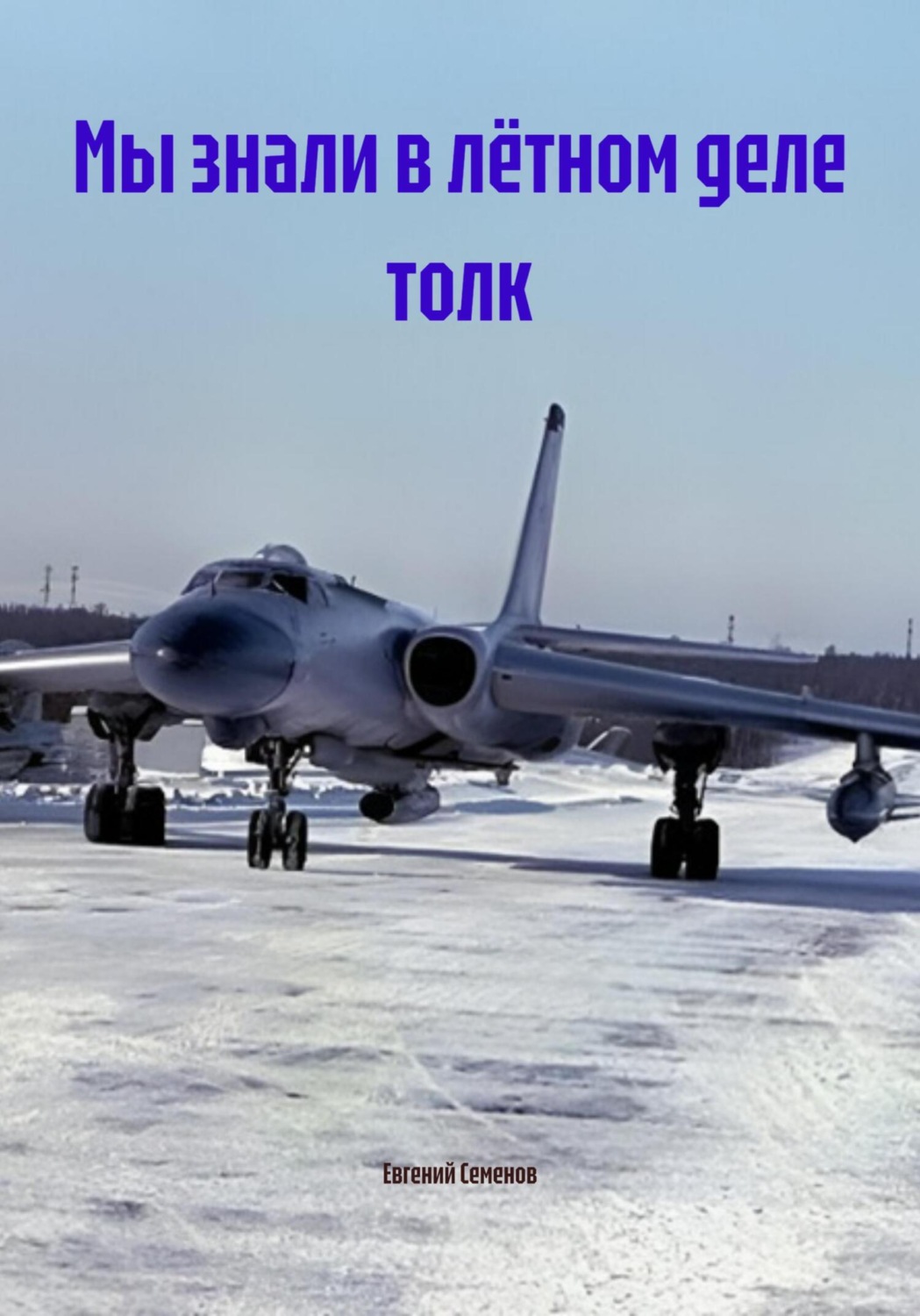 Обложка книги «Мы знали в лётном деле толк»