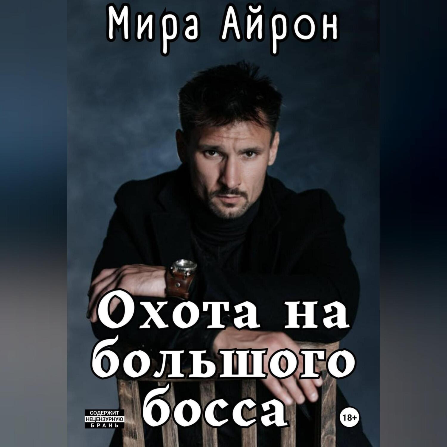 Обложка книги «Охота на большого босса»