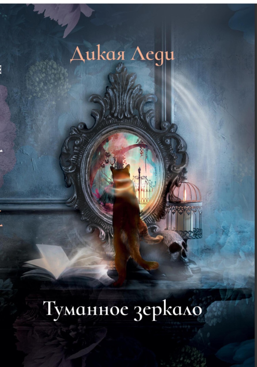 Обложка книги «Туманное зеркало»