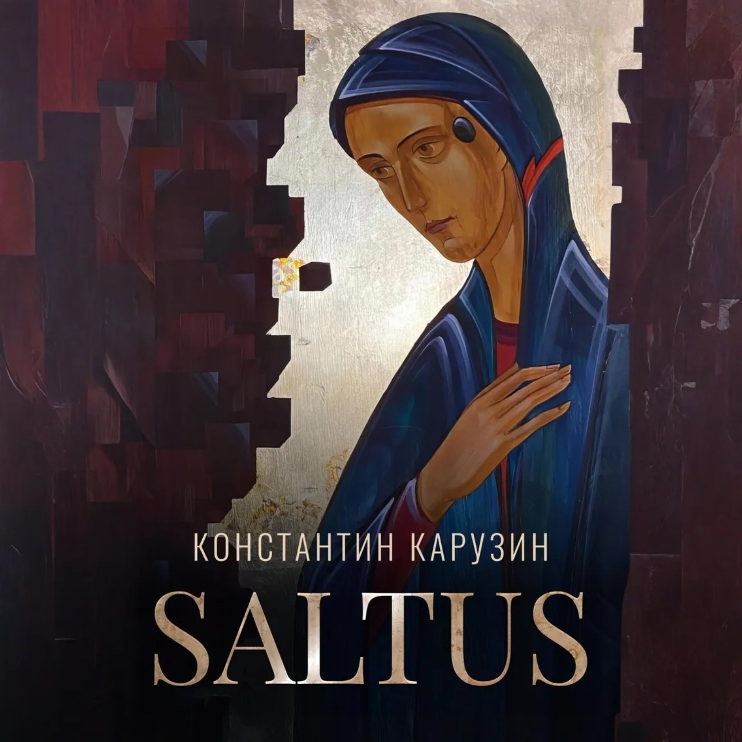 Обложка книги «Saltus»