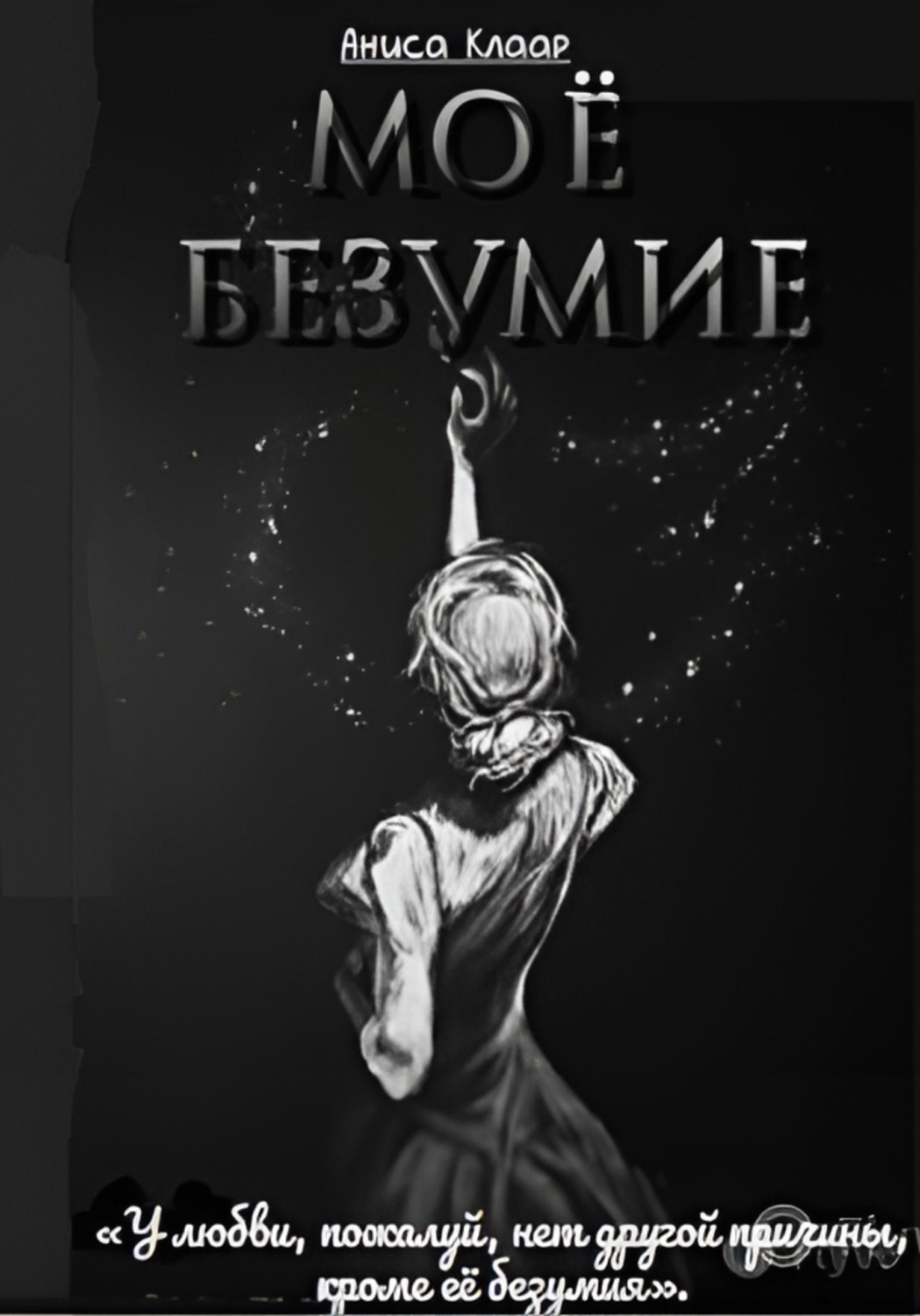 Обложка книги «Моё безумие»