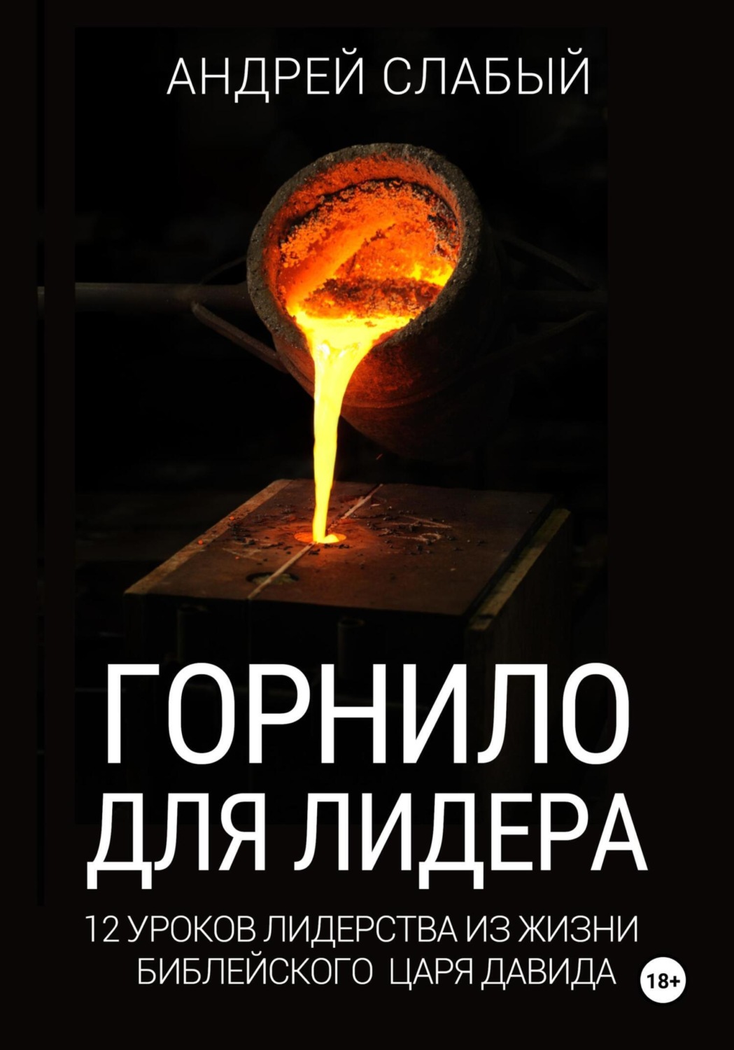 Обложка книги «Горнило для лидера. 12 уроков лидерства из жизни библейского царя Давида»