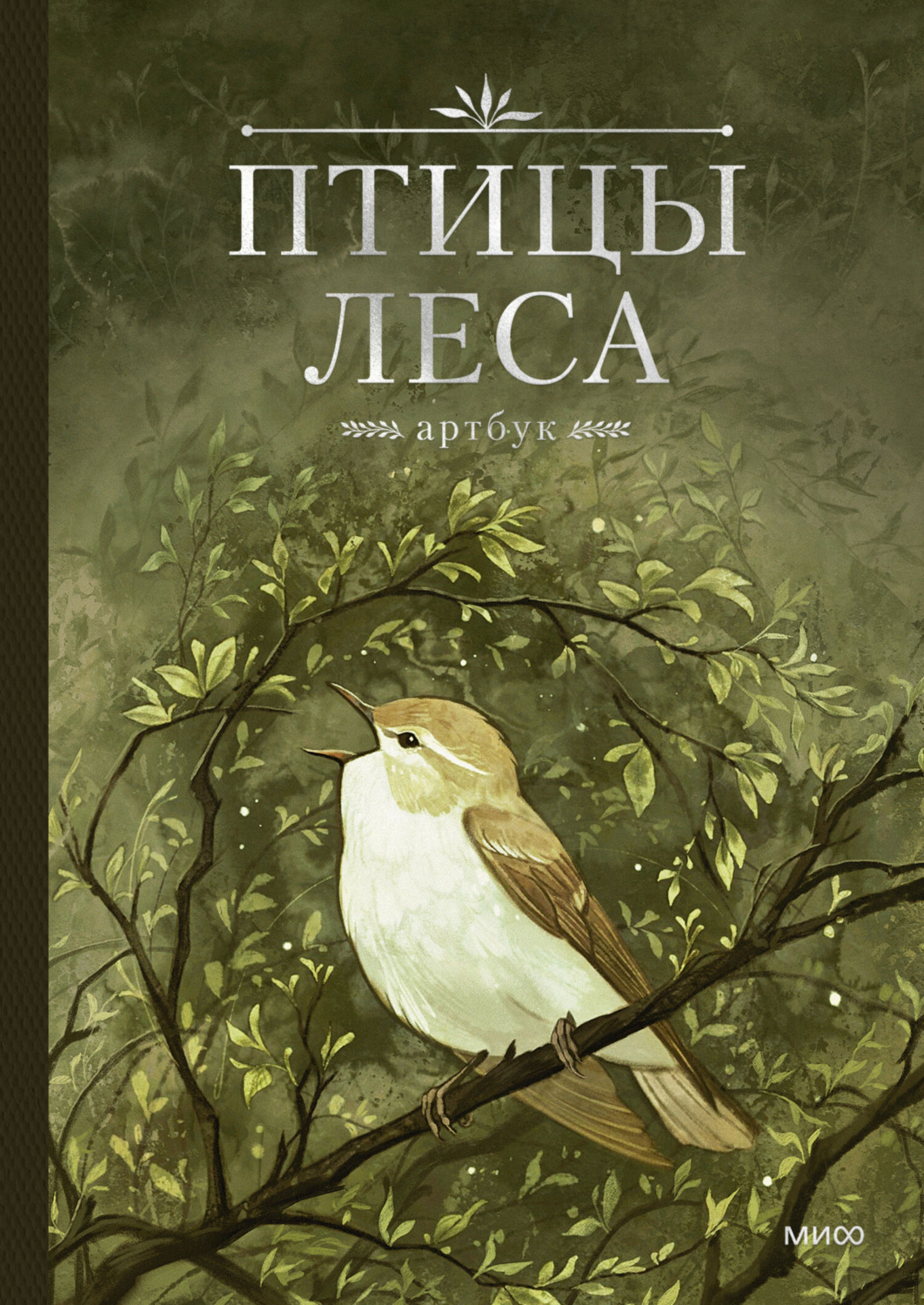 Обложка книги «Птицы леса. Артбук»