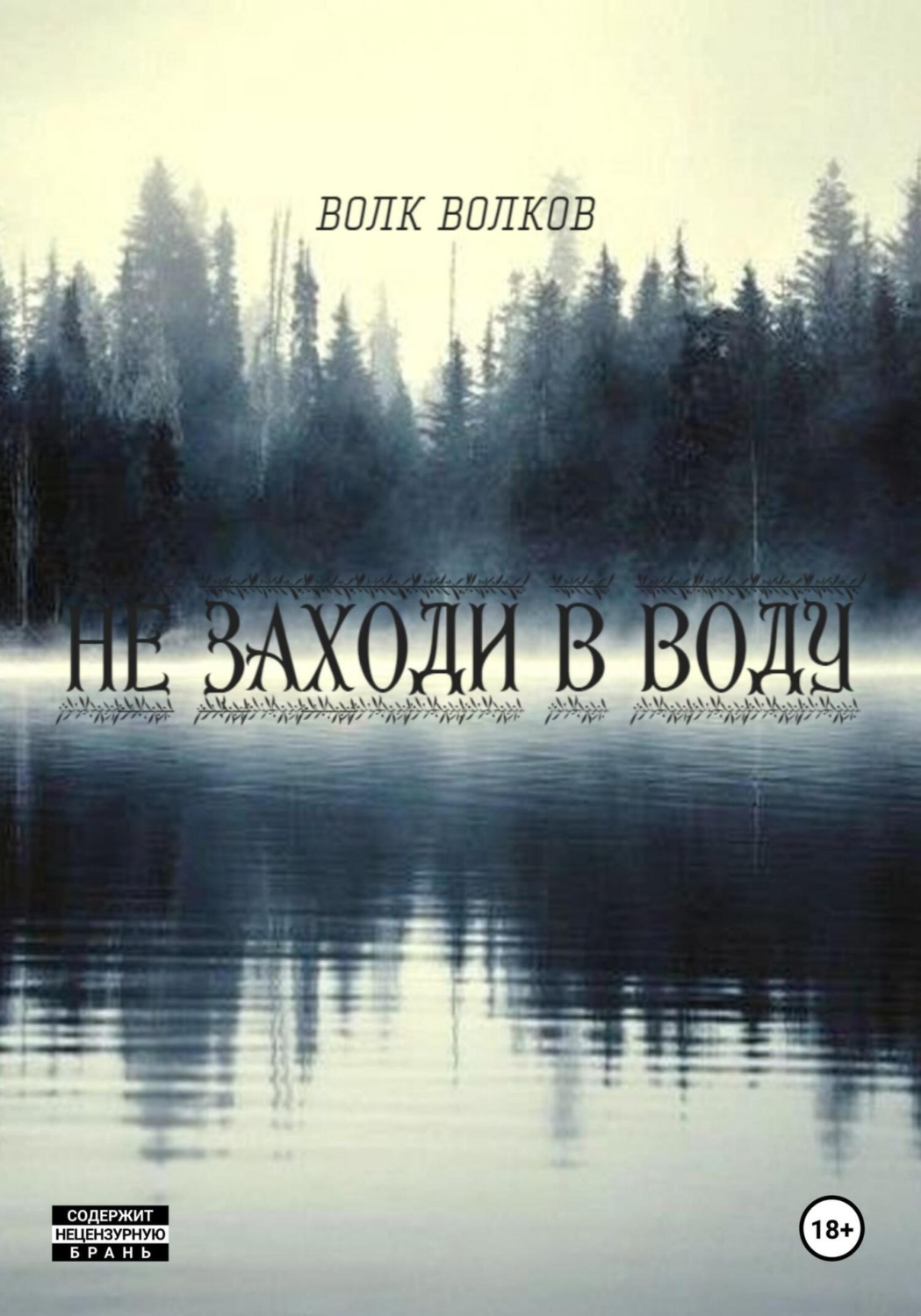 Обложка книги «не заходи в воду»
