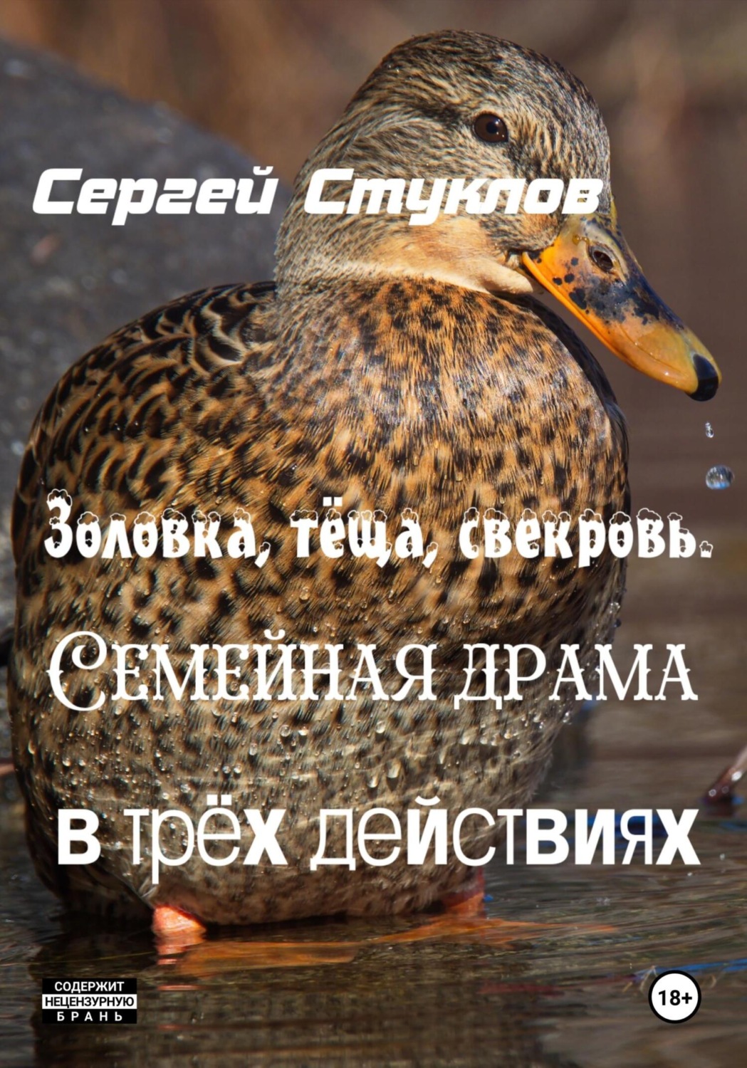 Обложка книги «Золовка, тёща, свекровь. Семейная драма в трёх действиях»