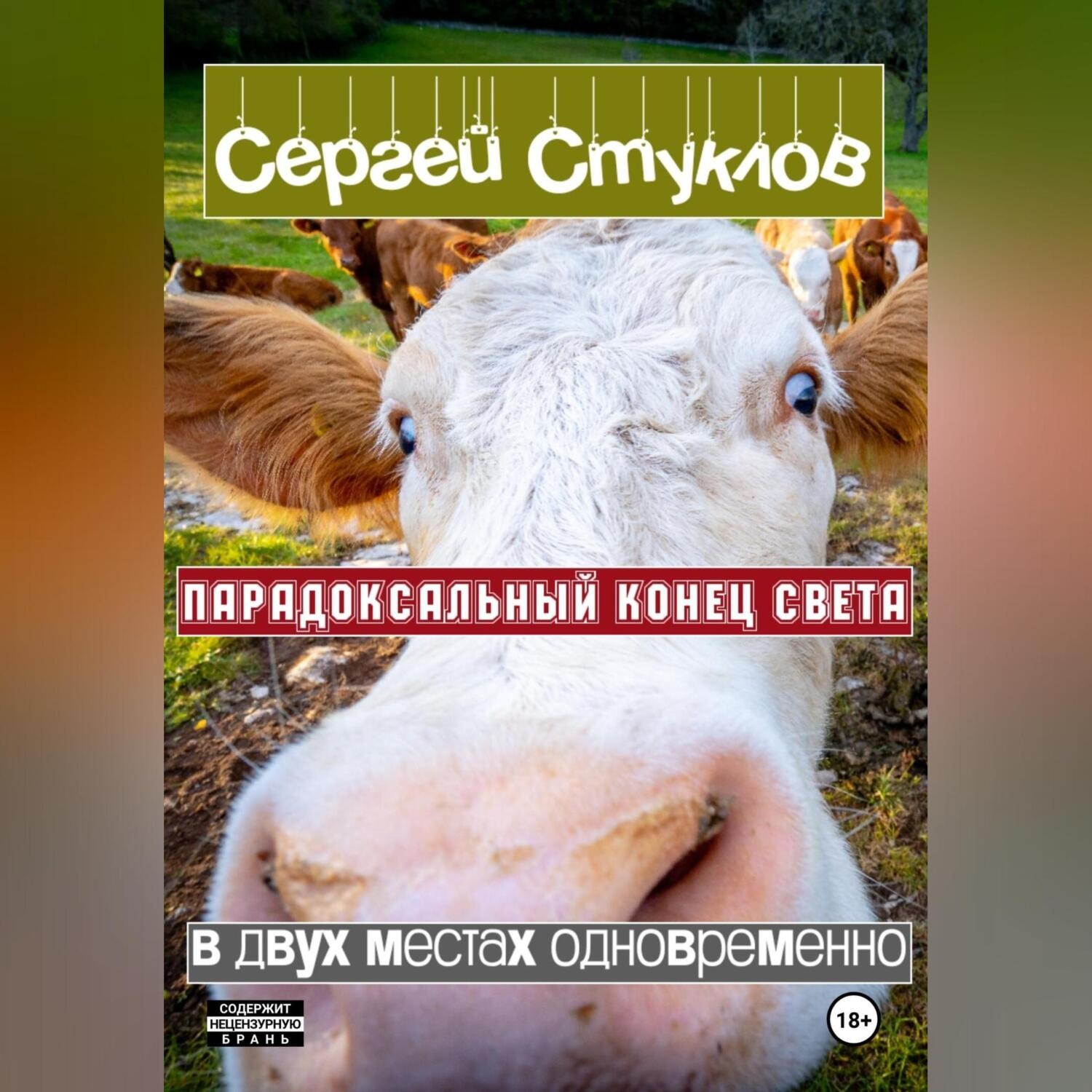 Обложка книги «Парадоксальный Конец Света в двух местах одновременно»