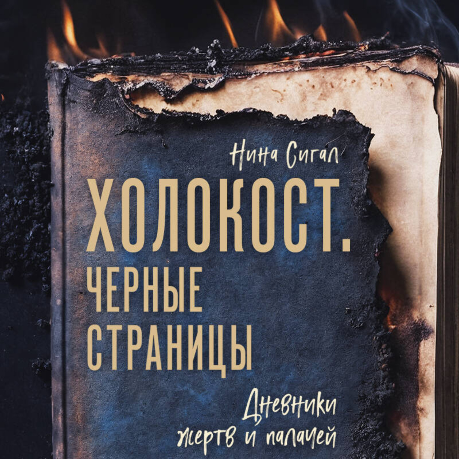 Обложка книги «Холокост. Черные страницы. Дневники жертв и палачей»