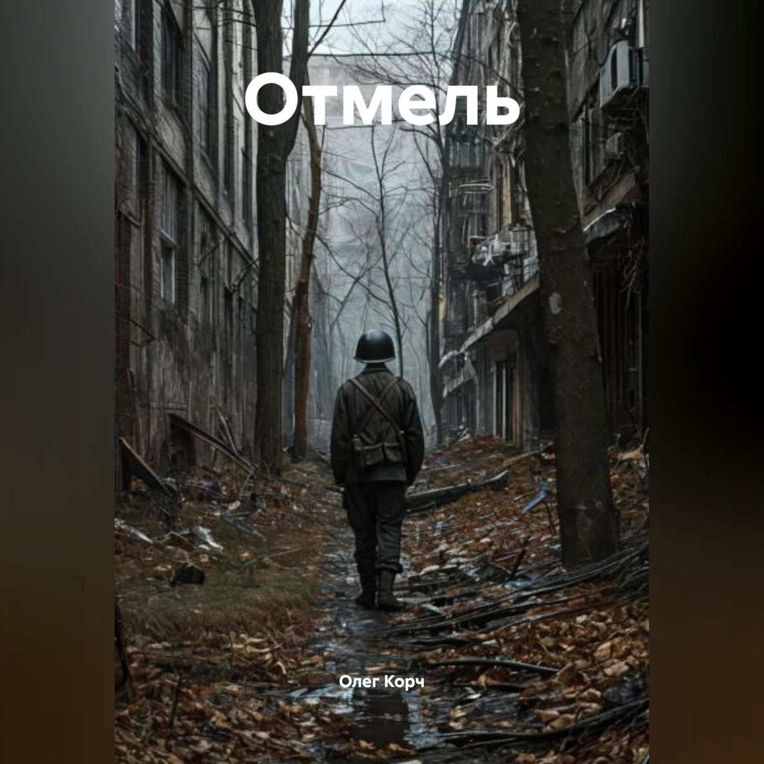 Обложка книги «Отмель»