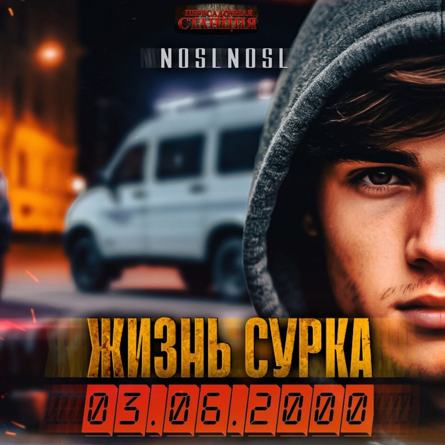 Обложка книги «Жизнь сурка»