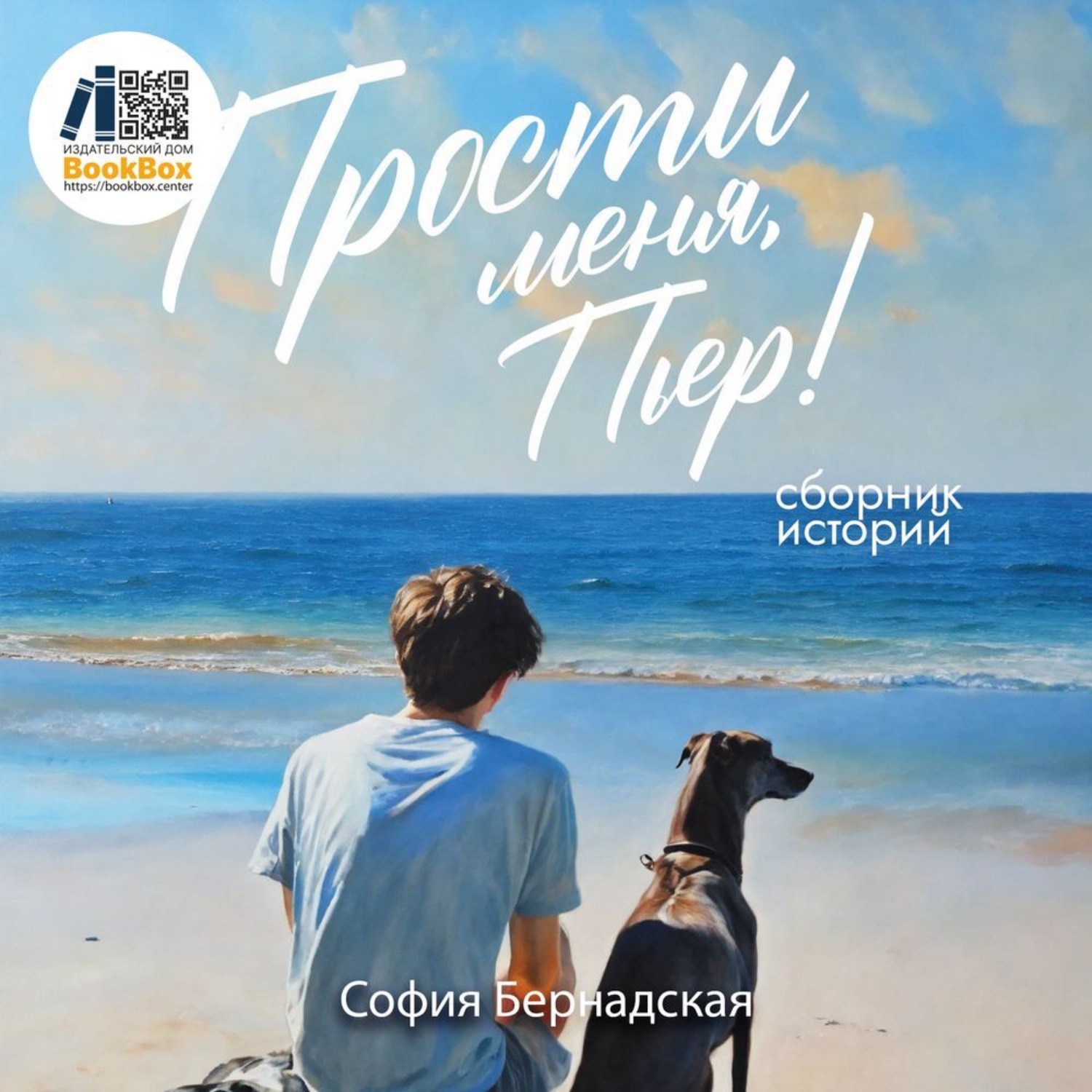 Обложка книги «Прости меня, Пьер!»