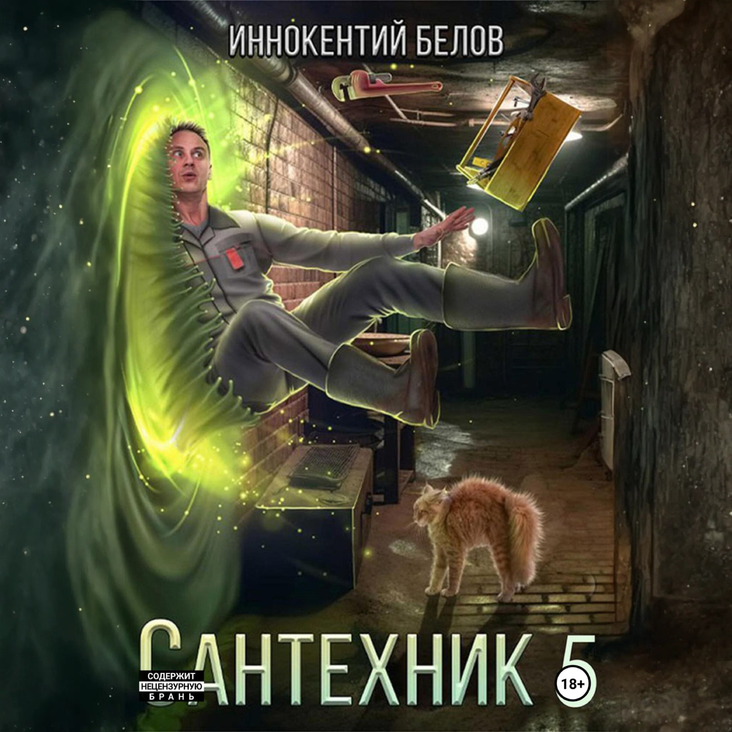 Обложка книги «Сантехник 5»