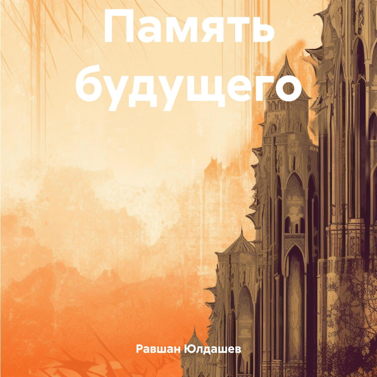 Обложка книги «Память будущего»