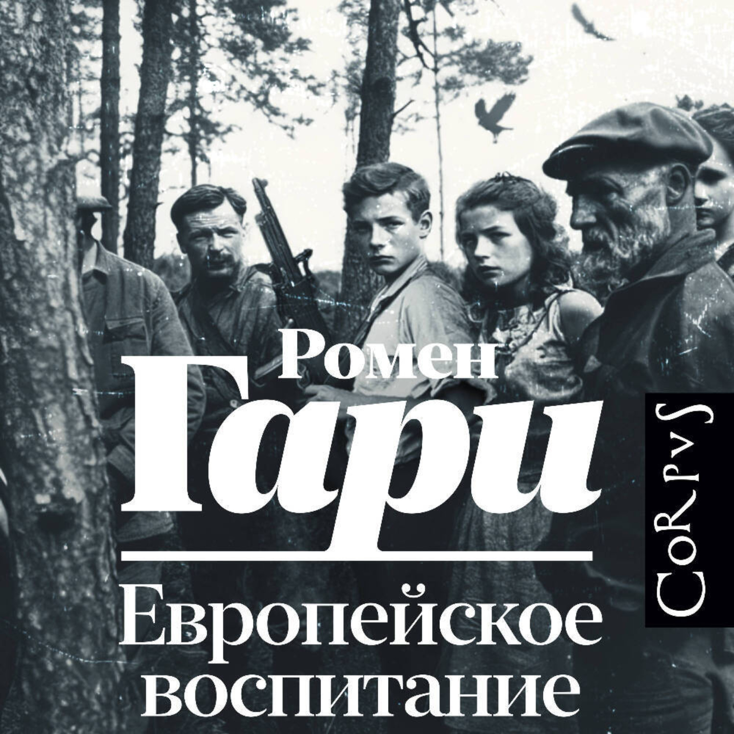 Обложка книги «Европейское воспитание»