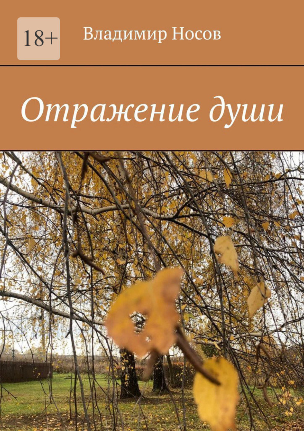 Обложка книги «Отражение души»