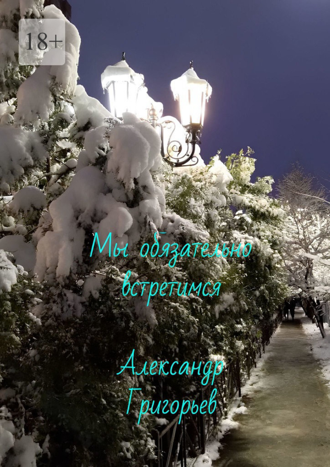 Обложка книги «Мы обязательно встретимся»