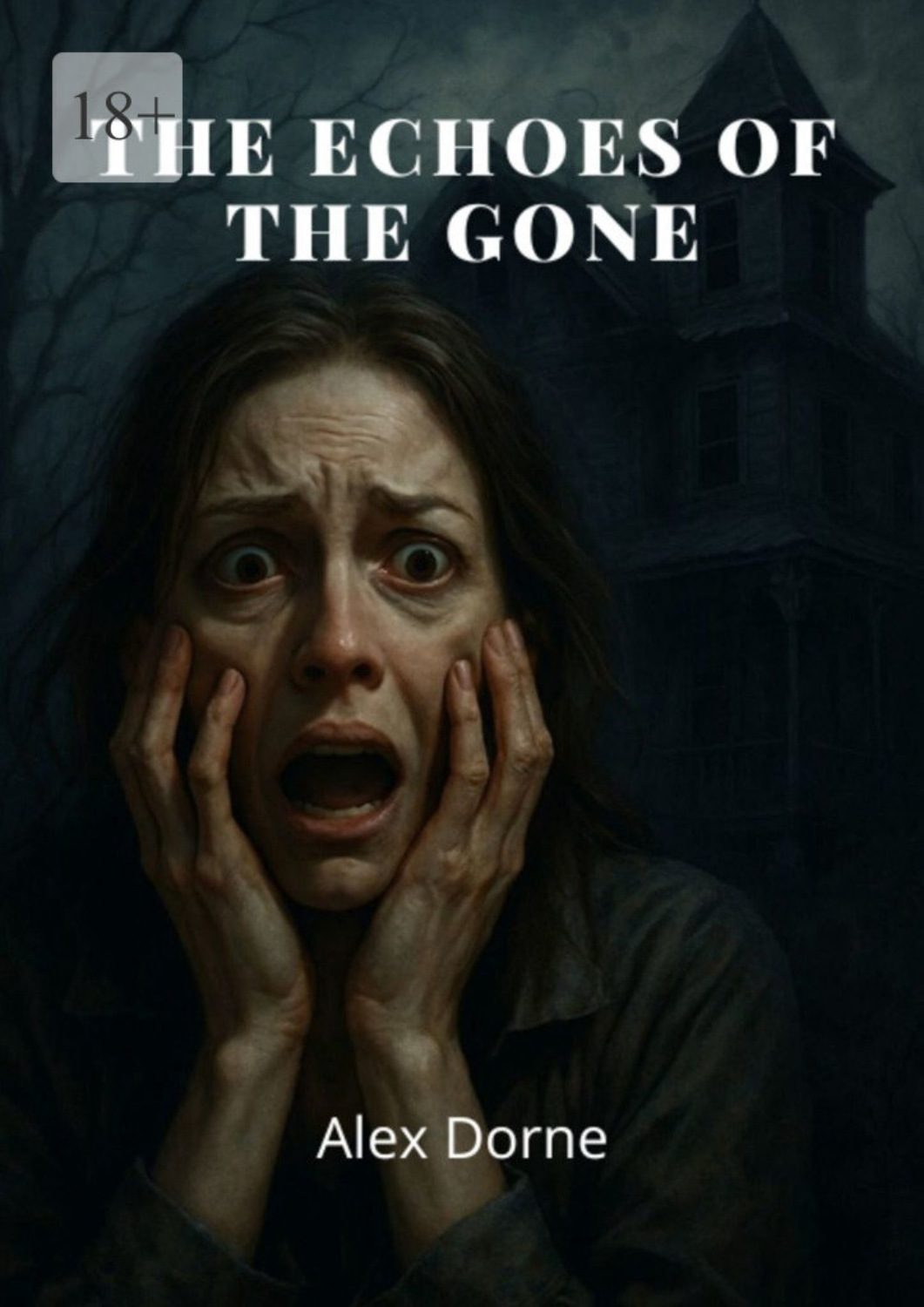 Обложка книги «The Echoes of the Gone»