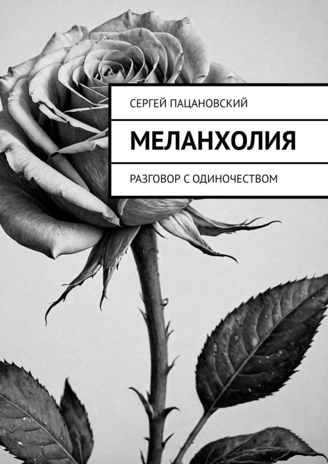 Обложка книги «Меланхолия. Разговор с одиночеством»