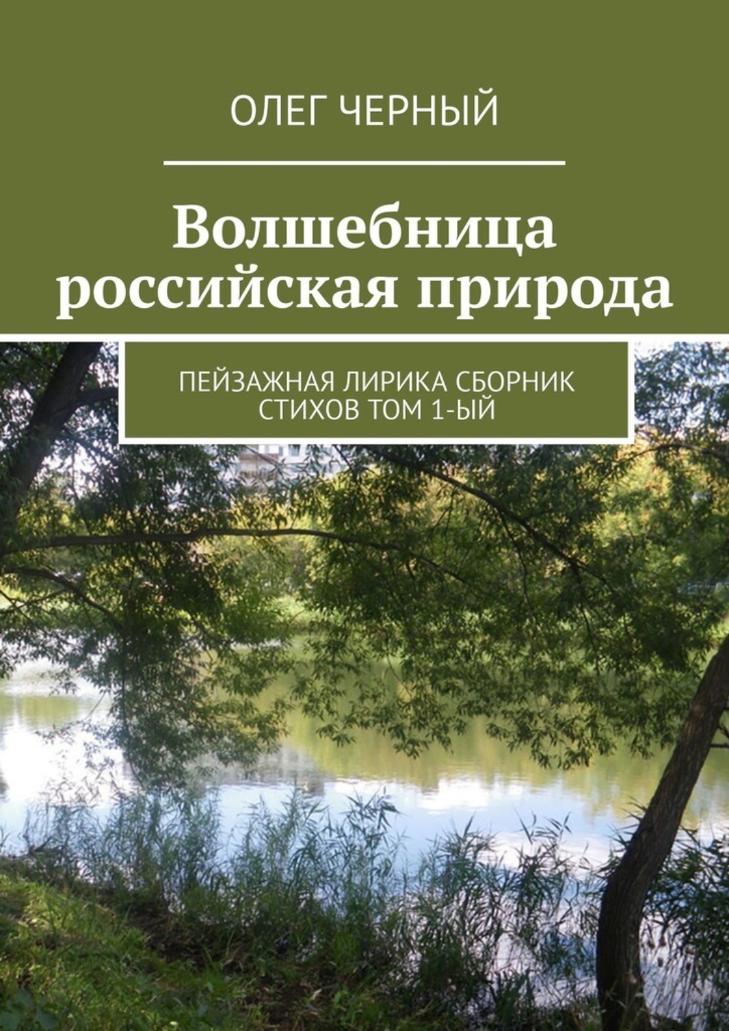 Обложка книги «Волшебница российская природа. Пейзажная лирика. Сборник стихов Том 1-ый»