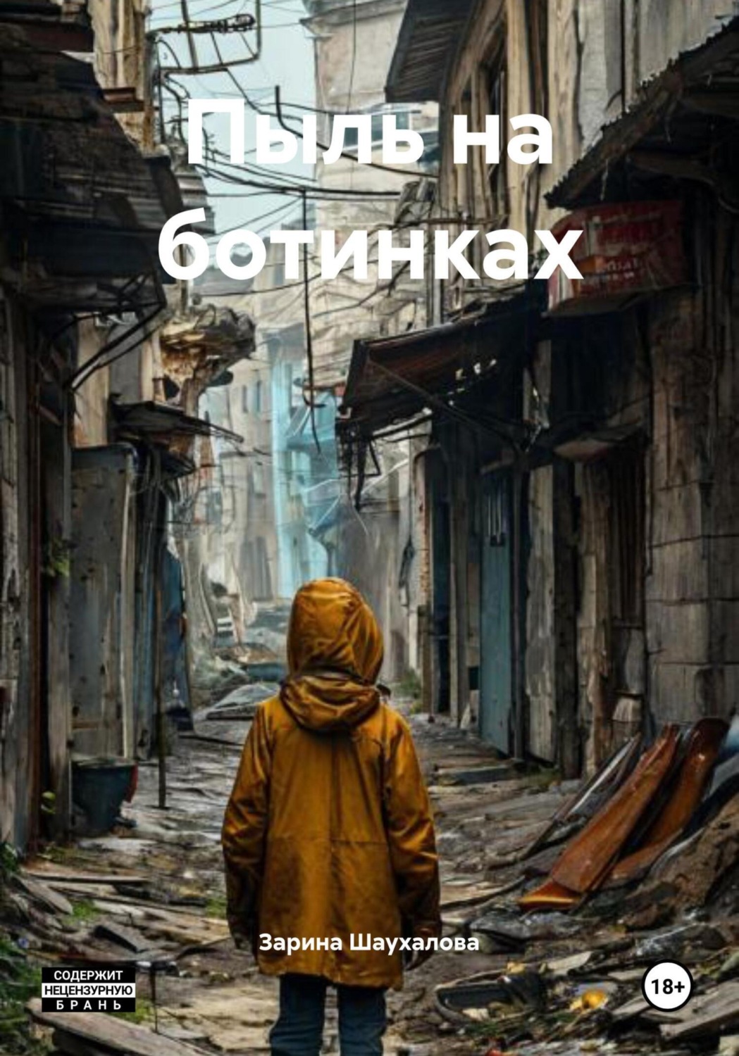 Обложка книги «Пыль на ботинках»