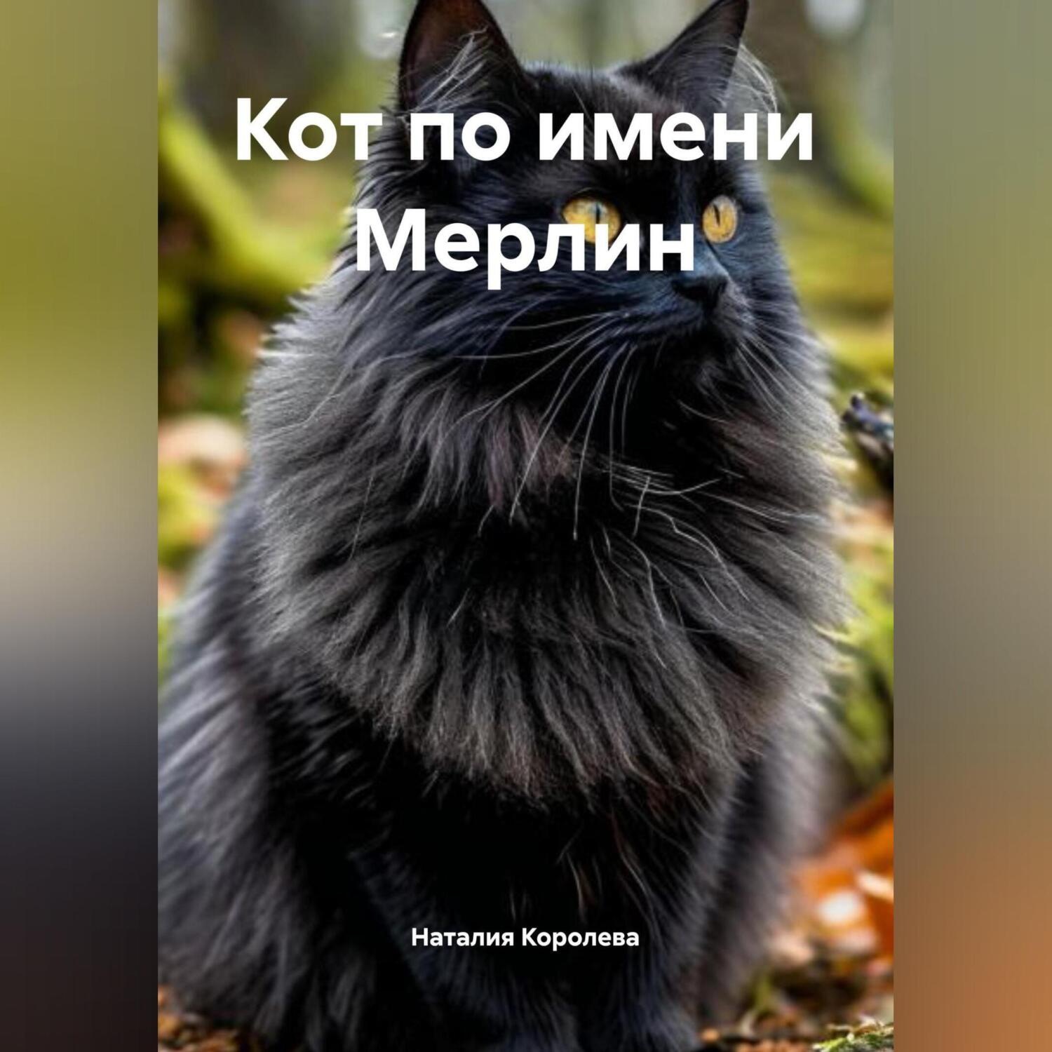 Обложка книги «Кот по имени Мерлин.»