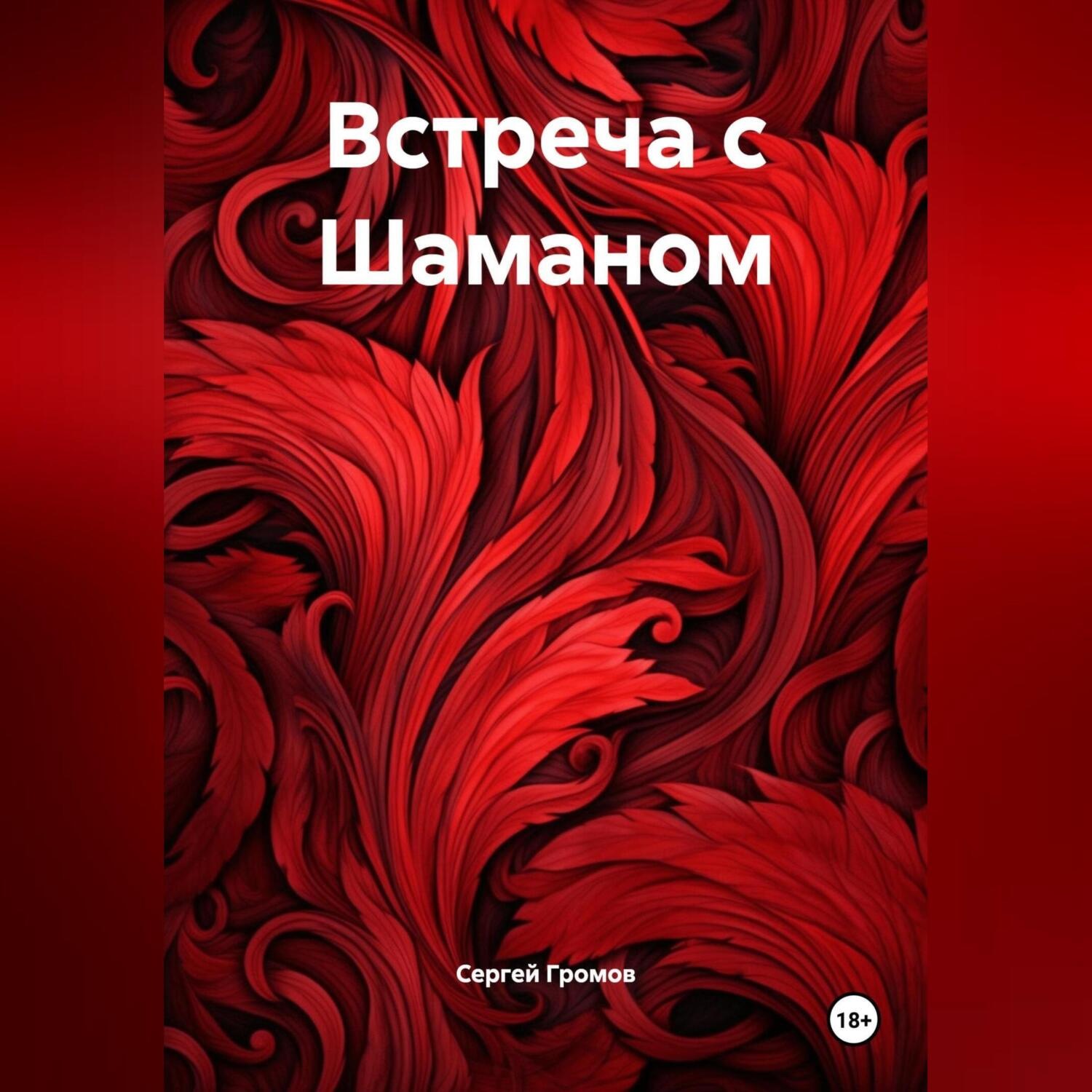 Обложка книги «Встреча с Шаманом»