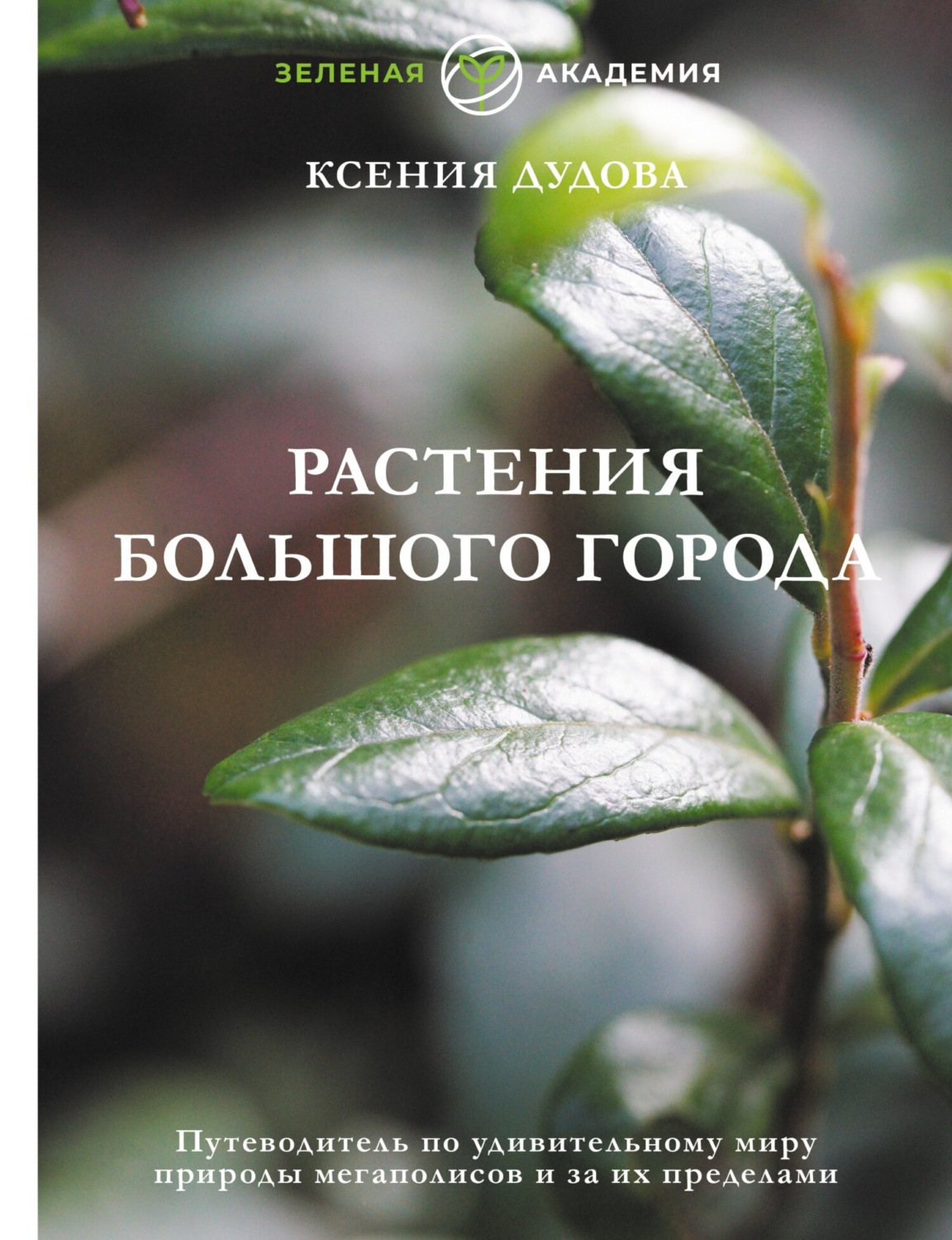 Обложка книги «Растения большого города. Путеводитель по удивительному миру природы мегаполисов и за их пределами»