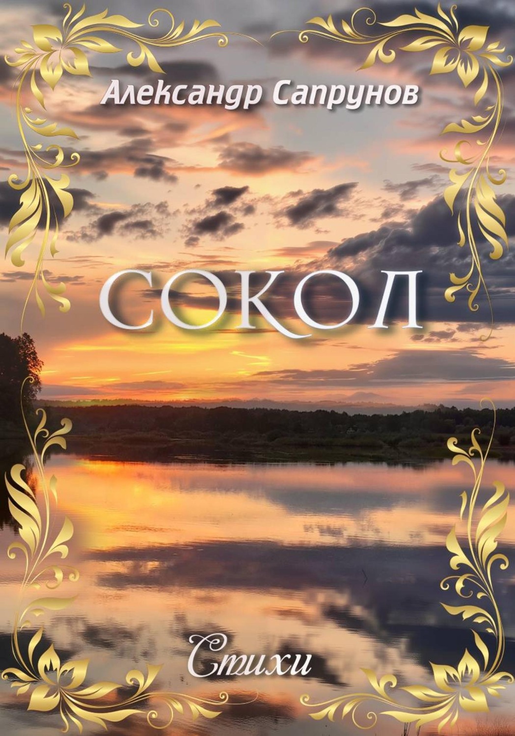 Обложка книги «Сокол»