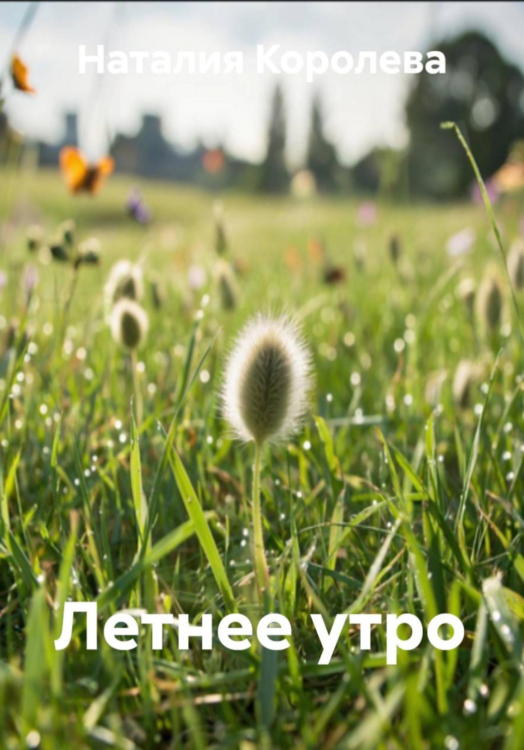 Обложка книги «Летнее утро»