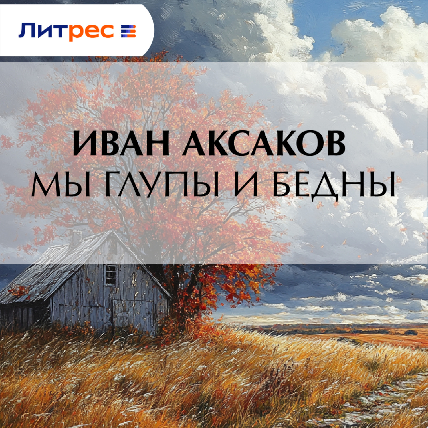 Обложка книги «Мы глупы и бедны»