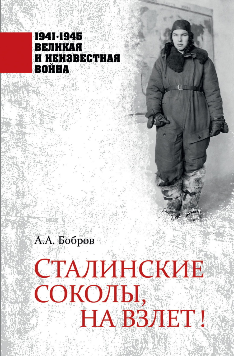 Обложка книги «Сталинские соколы, на взлет!»